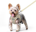 rabbitgoo Dog Harness Small Sized and Leash Set, Step-in Puppy Pet Vest | Light, Soft, Breathable Air Mesh, Easy on and Remove with Hook & Loop, Secure Reflective for Walking, Beige Check XS by rabbitgoo