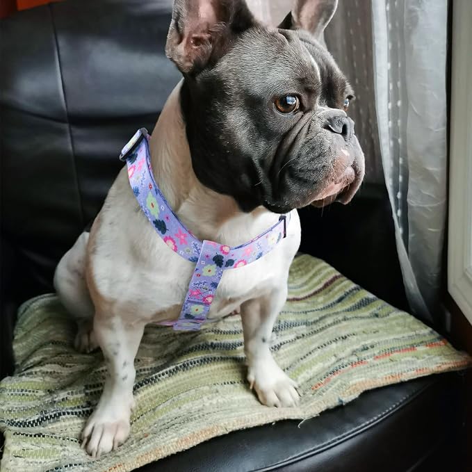Dog Harness Leash Set Adjustable Heavy Duty No Pull Halter Harnesses for Small Medium Large Breed Dogs Back Clip Anti-Twist Perfect for Walking - Image 6
