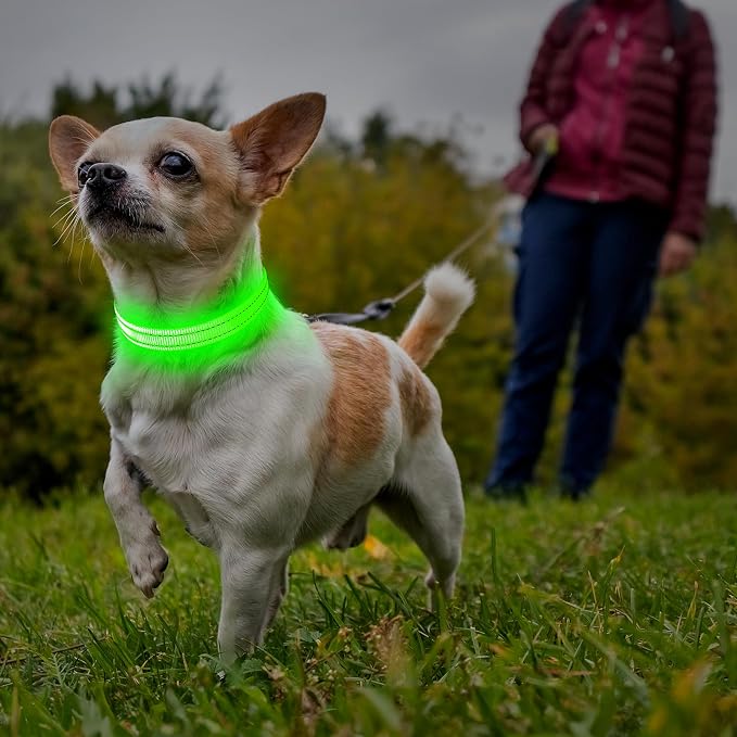 Illumifun LED Dog Collar, USB Rechargeable Light Up Dog Collar, Waterproof Nylon Glowing Safety Collar for Small Dogs Cats (Green, X-Small) - Image 5