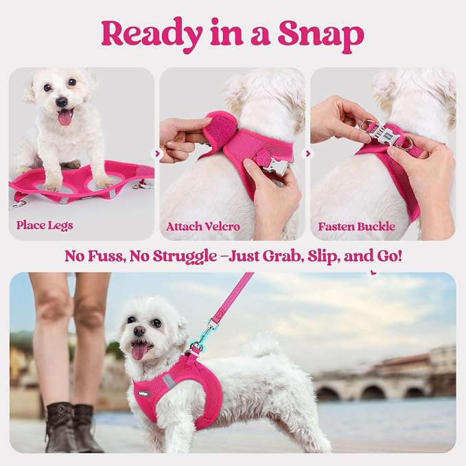 rabbitgoo Dog Harness Small Sized and Leash Set, Step-in Puppy Pet Vest | Light, Soft, Breathable Air Mesh, Easy on and Remove with Hook & Loop, Secure Reflective for Walking, Rose Red M - Image 8