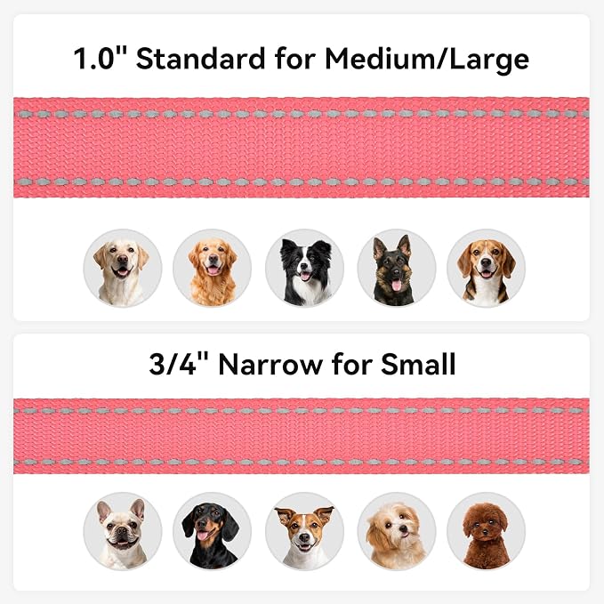 Joytale Reflective Dog Leash for Medium & Large Dogs, 4 FT x 1", Neon Pink | Heavy Duty Nylon Webbing, Padded Handle for Comfort, Visible at Night, for Walking & Training - Image 6