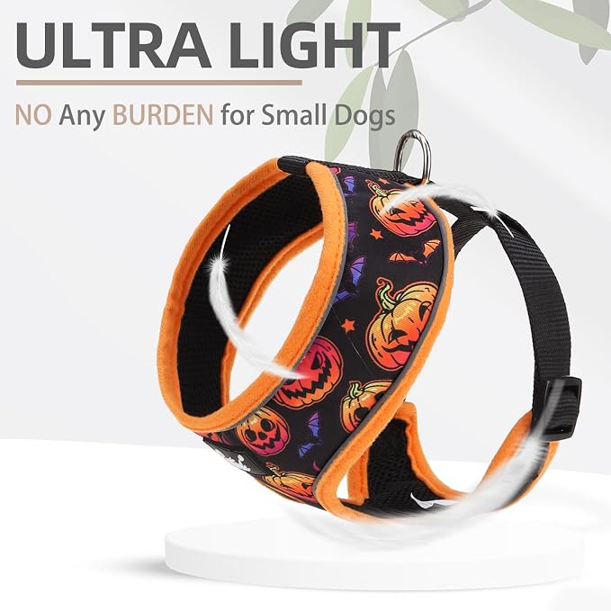 PUPTECK Small Dog Harness and Leash Set No Pull for XS XXS Sized Dogs Puppy | Escape Proof No Choke Pet Cat Adjustable Soft Padded Walking Vest - Image 5