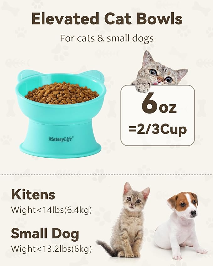 MateeyLife Raised Cat Bowls, Cat Food Bowl Elevated for Kittens & Small Dogs, 15°Tilted Protect Pets' Neck and Anti Vomiting, Whisker Friendly Food & Water Feeding Bowl, 6 oz Each - Green - Image 6