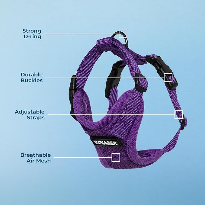 Voyager Step-in Lock Dog Harness - Purple, X-Small | 13 - 16" in Chest, Adjustable, Breathable Air Mesh, Lightweight for Daily Walks, Strong Clips, Heavy Duty D-Ring - Image 4