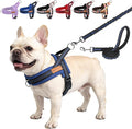 BEAUTYZOO Dog Harness Medium Sized and Leash Set, No Pull Step in Pet Vest | Breathable Mesh with Handle, Reflective, Adjustable No Choke Escape Proof, Lightweight, Easy Control for Walking, Dark Blue M by BEAUTYZOO