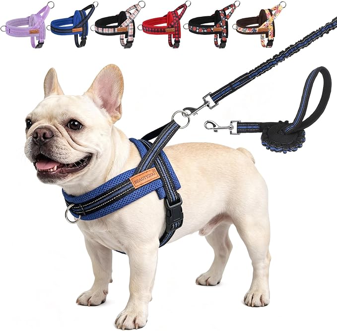 BEAUTYZOO Dog Harness Medium Sized and Leash Set, No Pull Step in Pet Vest | Breathable Mesh with Handle, Reflective, Adjustable No Choke Escape Proof, Lightweight, Easy Control for Walking, Dark Blue M by BEAUTYZOO