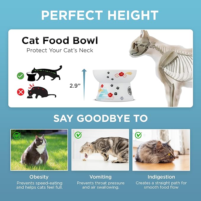 Necoichi Ceramic Elevated Cat Food Bowl (Fuji, Regular Flat) - Image 4
