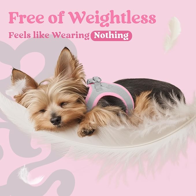 rabbitgoo Step-in Small Dog Harness, Puppy Vest for Small Medium Sized Pet | Easy Put on and off, Lightweight, Soft, Breathable Quick-Dry Air Mesh for Comfortable Secure Walking, Light Pink & Gray L - Image 4