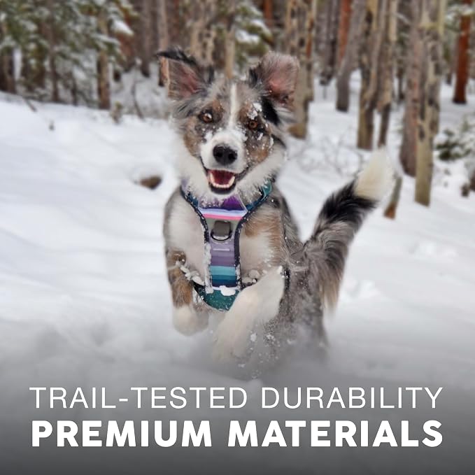 Embark No Pull Dog Harness, Reflective Adjustable Training Vest, No Choke | Adjustable straps fit all dog breeds with sturdy hooks; 360° reflective trim, soft padded Harness Design for All Dogs - Image 5
