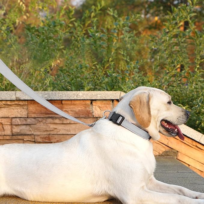 6 FT Basic Dog Leash for Medium Dogs,Silver | Padded Handle,Metal D-Ring,Heavy Duty Nylon Webbing, for Walking & Training - Image 3