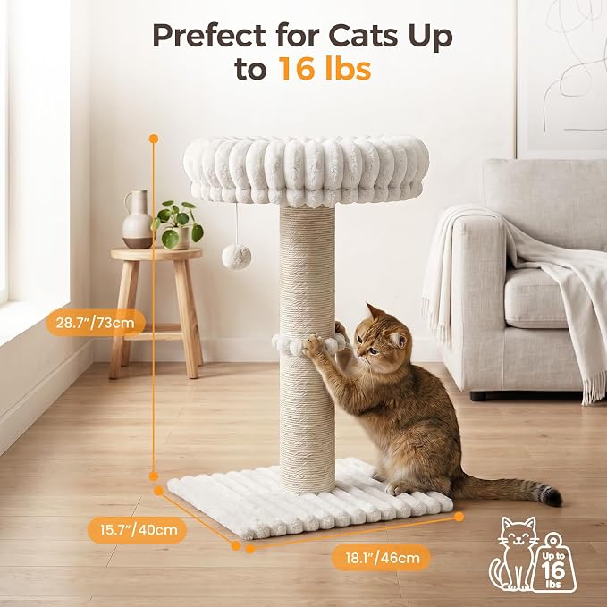 Avont 28.7" Sisal Cat Scratching Post with Large Plush Perch, Cream | Large Cat Scratcher Tower & Plush Elevated Cat Bed with Removable & Washable Cover, Sturdy Cat Perch for Indoor Cats - Image 3