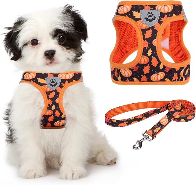 KOOLTAIL Fall Dog Harness and Leash Set for Small Medium Dogs, Thanksgiving Step in No Pull Comfort Padded Pet Vest, Adjustable Reflective Easy Walking Puppy Cats Harness Training, Leaf & Pumpkin M by KOOLTAIL