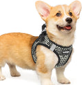 rabbitgoo Step-in Small Dog Harness, Puppy Vest for Small Medium Sized Pet | Easy Put on and off, Lightweight, Soft, Breathable Quick-Dry Air Mesh for Comfortable Secure Walking, Black Zigzag L by rabbitgoo
