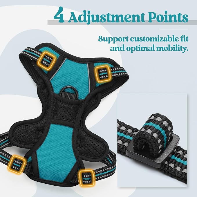 rabbitgoo Dog Harness No Pull with 2 Leash Clips, Adjustable Soft Padded, Reflective Oxford No Choke Pet Vest with Easy Control Handle for Puppy, Teal, XS | No Choke with Handle, Adjustable Soft Padded, Reflective, Easy Control for Walking, Teal, X-Small - Image 4