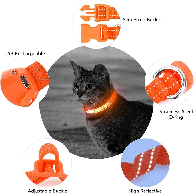 Light up Dog Collar for Small Dog,Vizpet XS Adjustable Size Nylon Collar USB Rechargeable Bright Safety Pet Collar for Cats Dogs (Orange) - Image 3