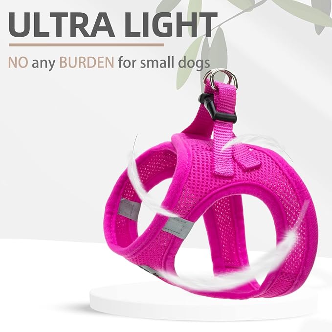 PUPTECK Dog Harness, Collar and Leash Set No Pull for Small Medium Sized | Soft Mesh Puppy Step-in Escape Proof Reflective No Choke Pet Cat Adjustable Walking Vest - Image 5