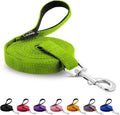Long Line Dog Training Leash with Padded Handle, 100 ft, Green | Durable nylon webbing with reinforced stitching and 360° swivel clip for recall and obedience by Loutep