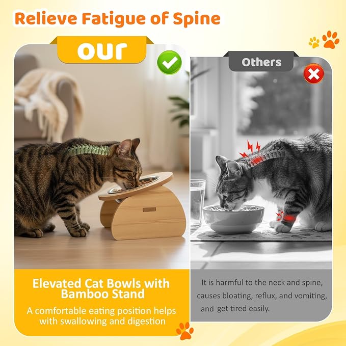 Blushtier 4 Pcs Elevated Stainless Steel Cat Bowls Bamboo Cats Feeding Station Stand, 15°Tilted 5.7 Inches Shallow Wide Raised Metal Cat Bowls for Pet Water Food Shelf Dishes for Indoor Cats Puppy - Image 4