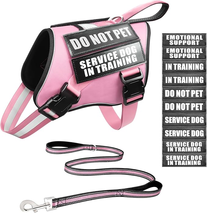 Service Dog Vest Harness and Leash Set+10 Patches,Easy Walk Pink S | No Pull&Adjustable Reflective Dog Harness Small Sized,Dog Leash with 2 Soft Padded Handles,for Training Hiking Walking by MOOGROUPETSFRIEND