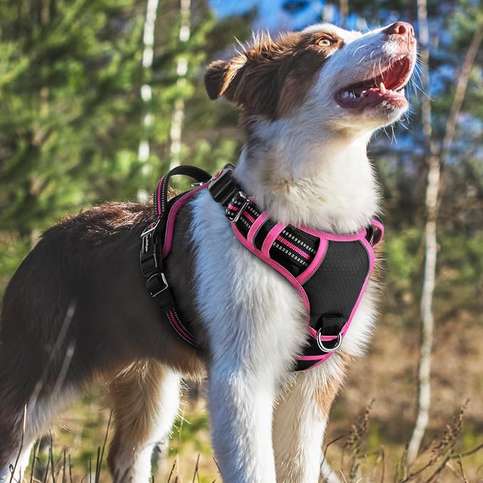 rabbitgoo Dog Harness Medium Sized, No Pull 3 Buckles Easy On & Off | Soft Padded, Walking with Control Handle, Adjustable and Reflective, Black & Pink, Medium - Image 7