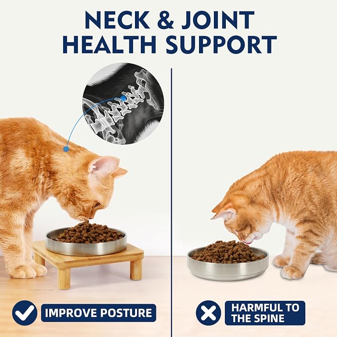 DoogCat Raised Cat Bowl, Elevated Cat Bowls with Bamboo Stand, Set of 2 | Premium Stainless Steel Bowls, Adjustable Height, Whisker-Friendly Design, Elevated Feeding, Easy to Clean - Image 4