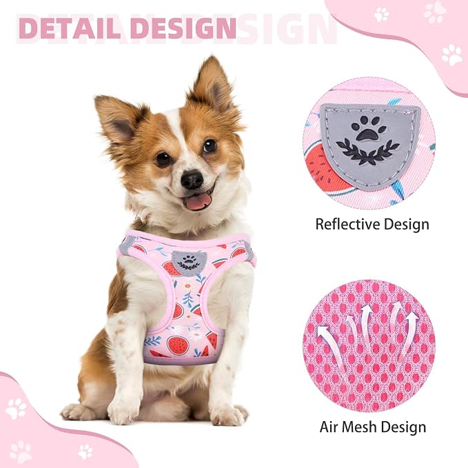 KOOLTAIL Dog Harness and Leash Set for Small Medium Dogs, Step in No Pull Soft Mesh Dog Harness Comfort Padded Pet Vest, Adjustable Reflective Easy Walking Puppy Cats Harness Training, Watermelon S - Image 4
