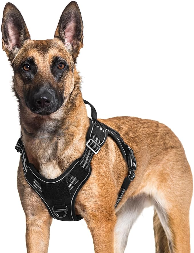 rabbitgoo Tactical Dog Harness for Large Dogs, No Pull Service Pet Vest | Military Molle System & Easy Control Handle, Adjustable and Reflective for Walking and Training, Black, X-Large by rabbitgoo