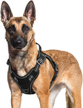 rabbitgoo Tactical Dog Harness for Large Dogs, No Pull Service Pet Vest | Military Molle System & Easy Control Handle, Adjustable and Reflective for Walking and Training, Black, X-Large by rabbitgoo