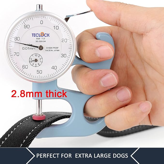Plutus Pet Double Handle Dog Leash, 6 FT Long, for Medium Large Dogs | Reflective Nylon, Soft Padded 2 Handles, Heavy Duty for Training, Dual Handle Lead, 6 FT x 1”, Black - Image 5