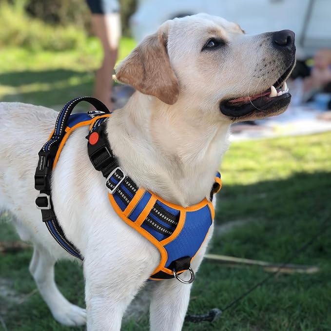 rabbitgoo Dog Harness for Large, No Pull 3 Buckles Easy On & Off | Soft Padded, Walking with Control Handle, Adjustable and Reflective, Royal Blue & Orange, Large - Image 8