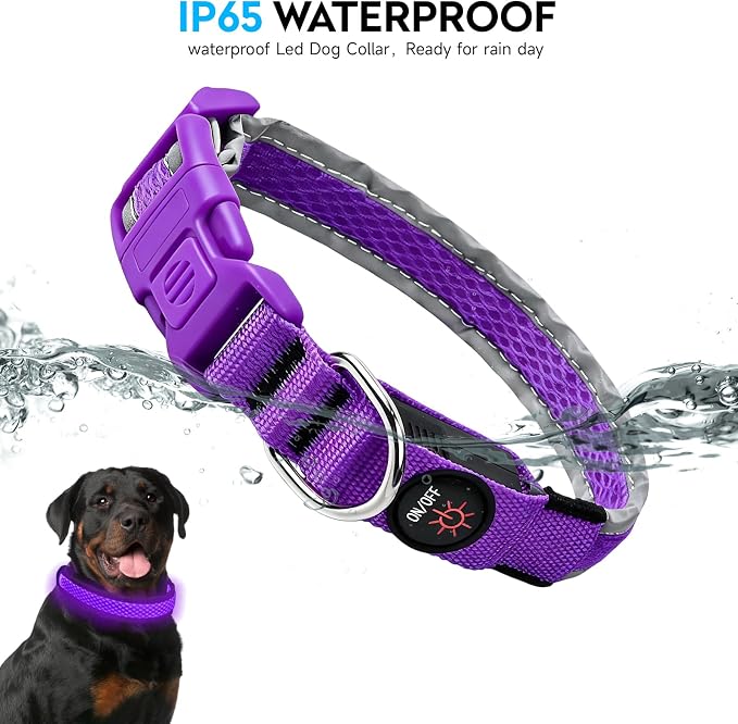 LED Dog Collar, Light Up Dog Collar,for Night Walking(Small,Purple) | Adjustable,Bright RGB 7 Colors Light Glowing Collar,Waterproof,Nylon,Soft,For Small and Medium Dogs,USB C to Charge - Image 3