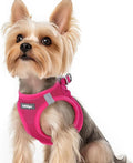 rabbitgoo Step-in Small Dog Harness, Puppy Vest for Small Sized Pet | Easy Put on and off, Lightweight, Soft, Breathable Quick-Dry Air Mesh for Comfortable Secure Walking, Rose Red XS by rabbitgoo