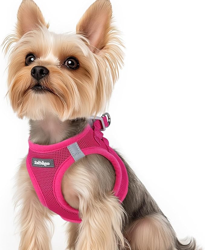 rabbitgoo Step-in Small Dog Harness, Puppy Vest for Small Sized Pet | Easy Put on and off, Lightweight, Soft, Breathable Quick-Dry Air Mesh for Comfortable Secure Walking, Rose Red XS by rabbitgoo