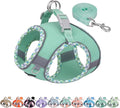 Teacup Puppy Harness and Leash Set Escape-Proof, Turquoise S | No Pull Step-in Vest, Breathable Mesh, Reflective Design with High-Stick Magic Tape, Outdoor Use for Poodles, Pomeranians by AIITLE-FORPETSBETTERLIFE
