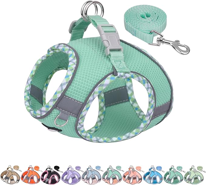 Teacup Puppy Harness and Leash Set Escape-Proof, Turquoise S | No Pull Step-in Vest, Breathable Mesh, Reflective Design with High-Stick Magic Tape, Outdoor Use for Poodles, Pomeranians by AIITLE-FORPETSBETTERLIFE