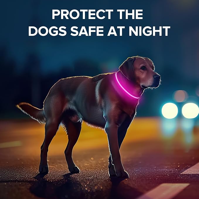 LED Dog Collar, Light Up Dog Collar USB-C Rechargeable Waterproof | 360° Visibility Light Up Dog Collar, Adjustable Nylon Collar with 3 Modes for Small Medium Large Dogs Night Walk Pink M - Image 5