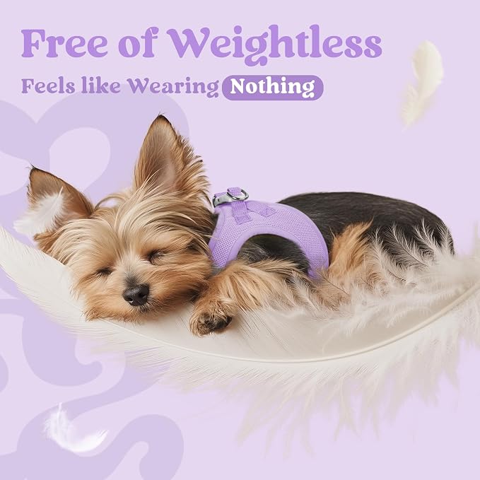 rabbitgoo Step-in Small Dog Harness, Puppy Vest for Medium Sized Pet | Easy Put on and off, Lightweight, Soft, Breathable Quick-Dry Air Mesh for Comfortable Secure Walking, Light Purple XXL - Image 5