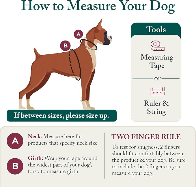 Sporn No Pull Dog Harness, Durable Nylon Mesh Harness for Medium Dogs, No Choke Design, Padded Restraint Sleeves, Adjustable Fit, Easy On/Off, Ideal for Medium Breeds, Blue - Image 3