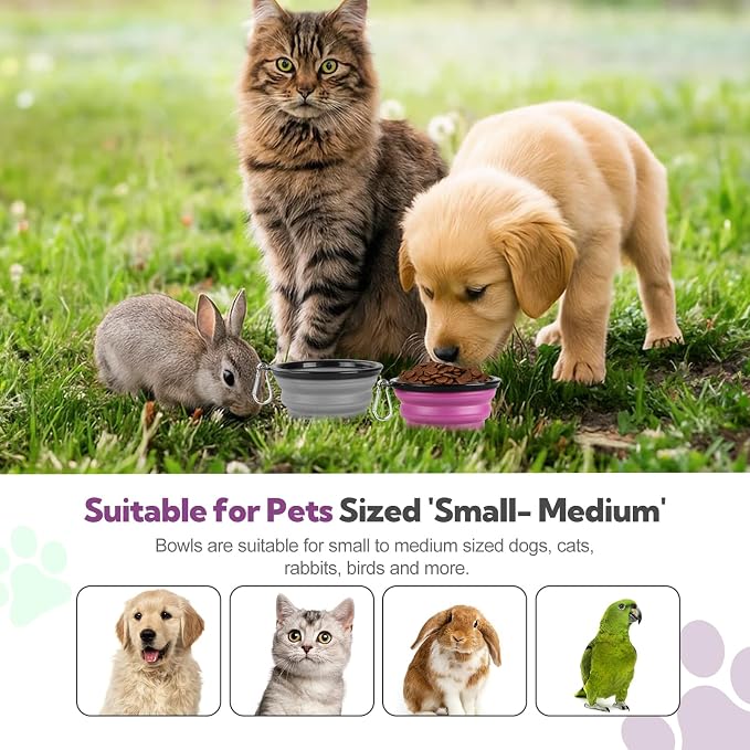 Collapsible Dog Bowl for Travel,2-Pack 12oz Pet Portable Water Food Bowls | Silicone Pet Foldable Bowl with 2 Carabiner Clips, Travel Water Bowl, Food Dishes Bowl, for Camping, Hiking, Walking - Image 7