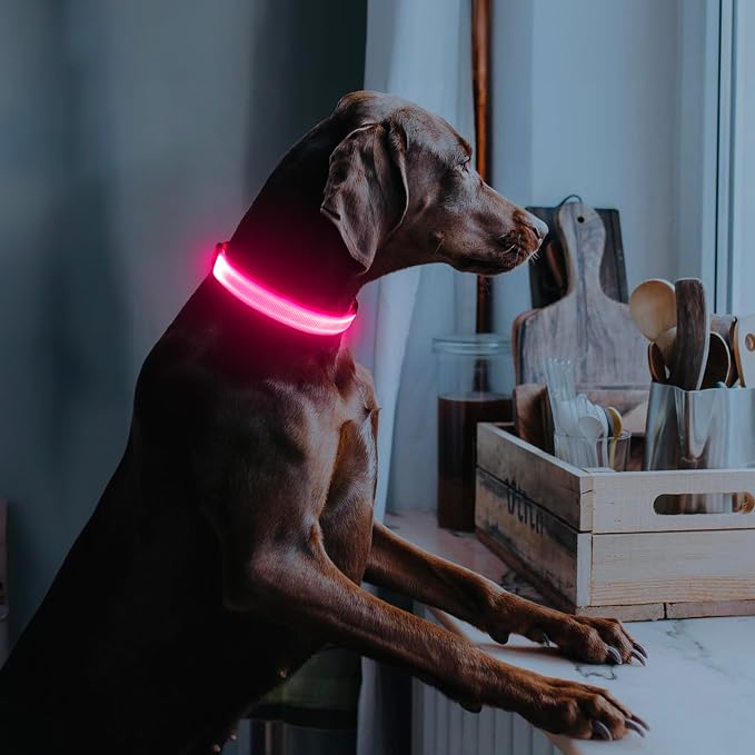 Illumifun Rechargeable LED Dog Collar, Waterproof Light Up Dog Collars Glow in the Dark, Adjustable Safety Collar Light for Dogs Walking Camping (Pink, Medium) - Image 6