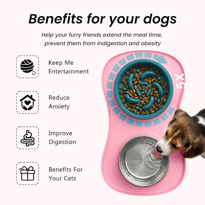 YINEYA 3 in 1 Slow Feeder Dog Bowls,Dog Water Bowl,Cat and Dog Food Bowl | Stainless Steel Dog Bowls with Non-Spill Dog Bowl Mat, Anti-Choking Puppy Bowls, Easy Clean for Large Medium Small Dogs Cats - Image 3