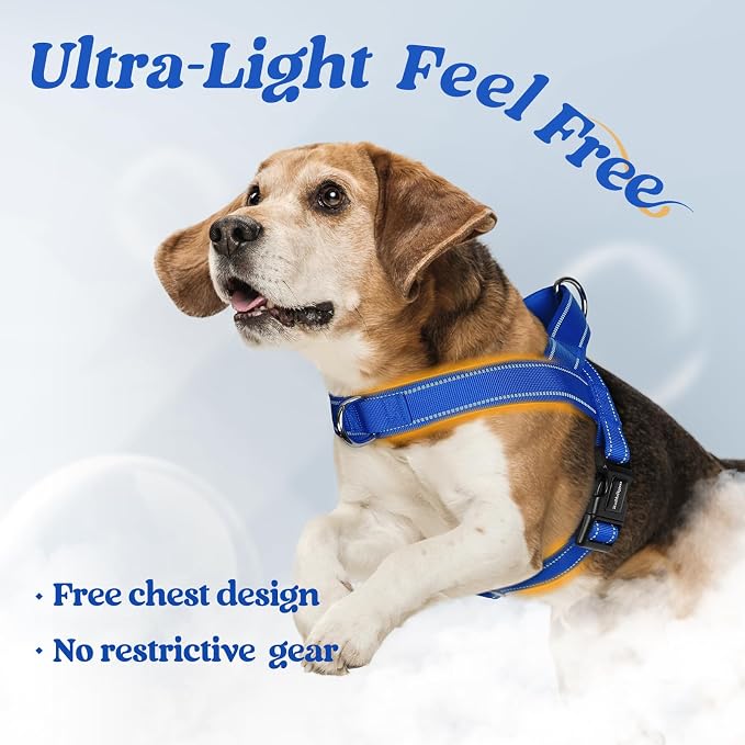 rabbitgoo Dog Harness No Pull, Quick Fit for Medium Sized Dog, Reflective | Chest Adjustable Pet Vest with Soft Padded Handle, No Choke Escape Proof for Walking Training, Blue M - Image 5