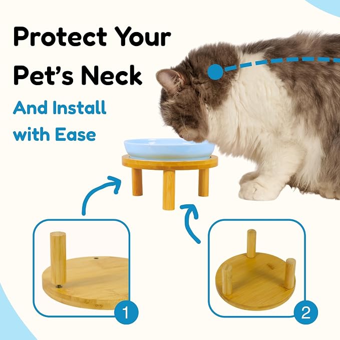 Elevated Ceramic Cat Bowls with Bamboo Stand for Cat Bowl, Whisker Friendly Shallow Cat Plate, Stable Raised Cat Food Riser for Indoor Cats (Green+Blue, Plates with Stands(Set of 2)) - Image 6