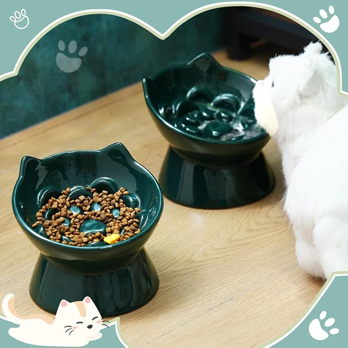 Funnymoom 2 Pcs Ceramic Raised Slow Feeder Cat Bowl, 5.91inch Elevated Cat Slow Feeder Bowl Tilted Anti Vomiting for Dry Wet Food and Water Easy to Clean High Edge(Dark Green) - Image 6