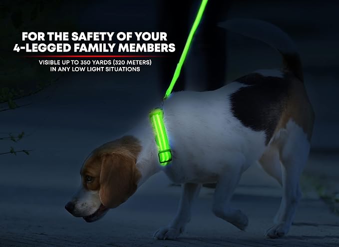 ILLUMISEEN LED Dog Collar USB Rechargeable - Bright & High Visibility Lighted Glow Collar for Pet Night Walking - Weatherproof, in 6 Colors & 6 Sizes (Green XX-Small) - Image 2