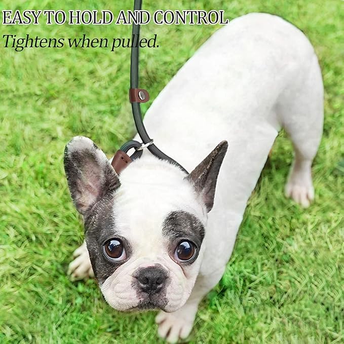 MayPaw Slip Lead Control Leash for Dogs No Pull 7 FT Pet Slip Leash, 1/4 in | 13+ Colors Classic Dog Lead Rope Leashes for Small Medium Animals (7ft*1/4", Yellow) - Image 8
