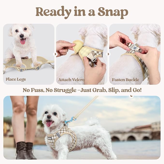 rabbitgoo Dog Harness Small Sized and Leash Set, Step-in Puppy Pet Vest | Light, Soft, Breathable Air Mesh, Easy on and Remove with Hook & Loop, Secure Reflective for Walking, Beige Check M - Image 8