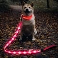 Illumifun LED Dog Leash - USB Rechargeable Light Up Dog Leash Glow in the Dark, Nylon Glowing Dog Lead for Your Dogs Walking (PinkⅡ) by Illumifun