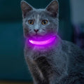 Light up Dog Collar for Small Dog,Vizpet XS Adjustable Size Nylon Collar USB Rechargeable Bright Safety Pet Collar for Cats Dogs (Purple) by VIZPET