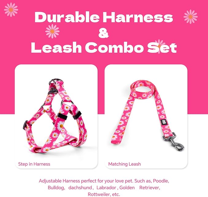 Dog Harness Leash Set Adjustable Heavy Duty No Pull Halter Harnesses for Small Medium Large Breed Dogs Back Clip Anti-Twist Perfect for Walking (S(14"-20" Chest Girth), Daisy) - Image 6